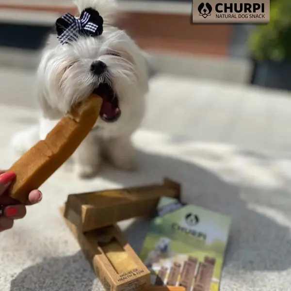 CHURPI Natural Dog Snack Extra Large - Натурално дентално лакомство за кучета от едри породи над 25 кг, 17-19 см, 200 гр