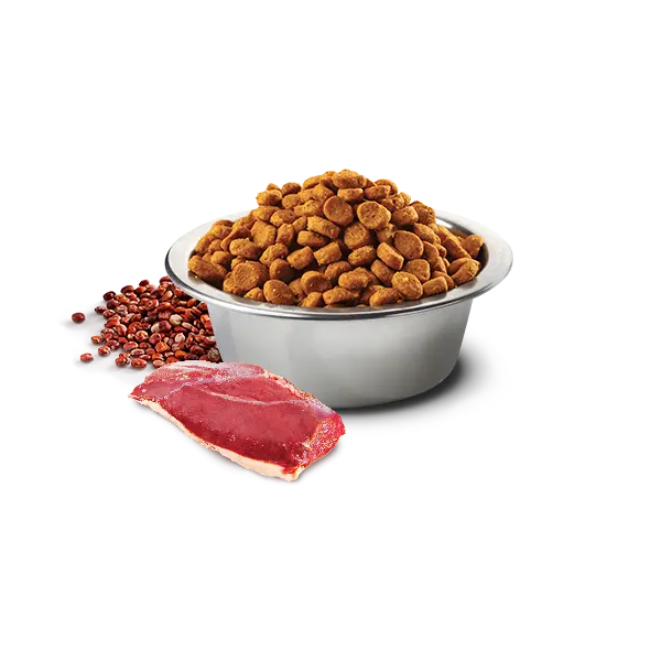 N&D Quinoa NEUTERD Dog Adult Medium & Maxi with Duck, Broccoli & Aspragus – суха храна без зърнени култури за кастрирани кучета от средни и едри породи над 1 година, с патешко, броколи и аспержи - 12 кг