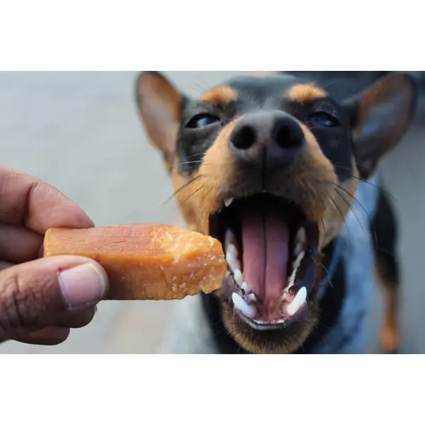 CHURPI Natural Dog Snack Medium - Натурално дентално лакомство за кучета от дребни породи  до 10 кг, 11-13 см, 70 гр