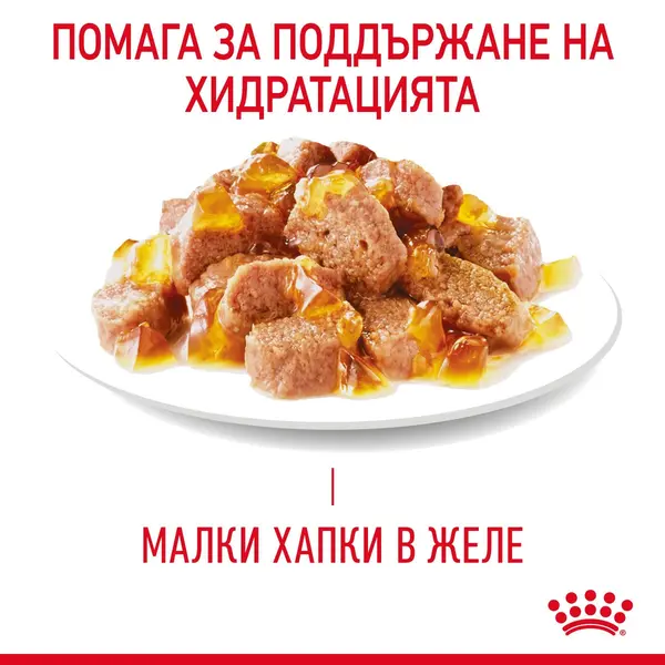 ROYAL CANIN CARE HAIRBALL IN JELLY - храна за котки в зряла възраст, склонни към образуване на космени топки – пауч парченца в желе