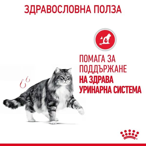 ROYAL CANIN CARE URINARY IN JELLY 12x85g - храна за котки в зряла възраст с уринарна чувствителност – пауч парченца в желе