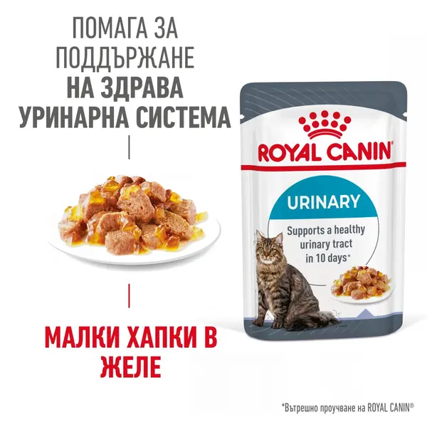ROYAL CANIN CARE URINARY IN JELLY 12x85g - храна за котки в зряла възраст с уринарна чувствителност – пауч парченца в желе