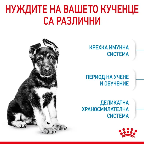 Royal Canin Maxi Puppy - суха храна за подрастващи кучета от едри породи