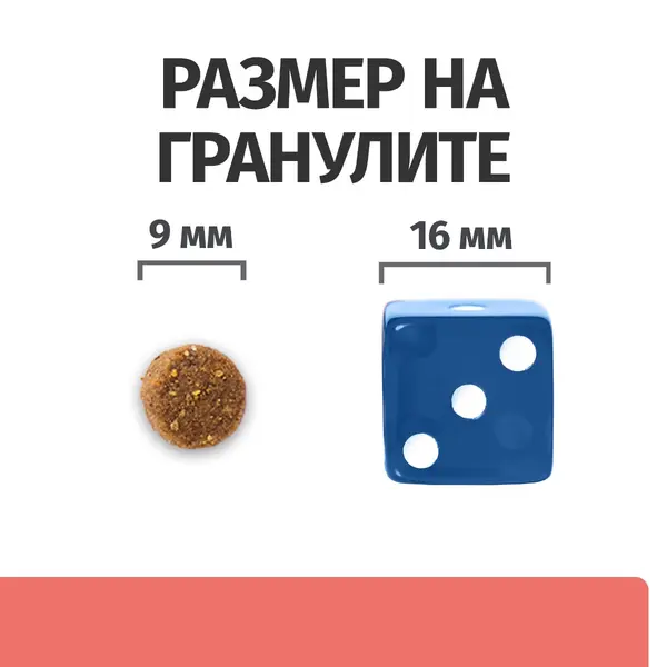 Hill's PRESCRIPTION DIET FELINE ON-CARE – лечебна суха храна за котки, страдащи от тежки заболявания, с пилешко 1,5 кг