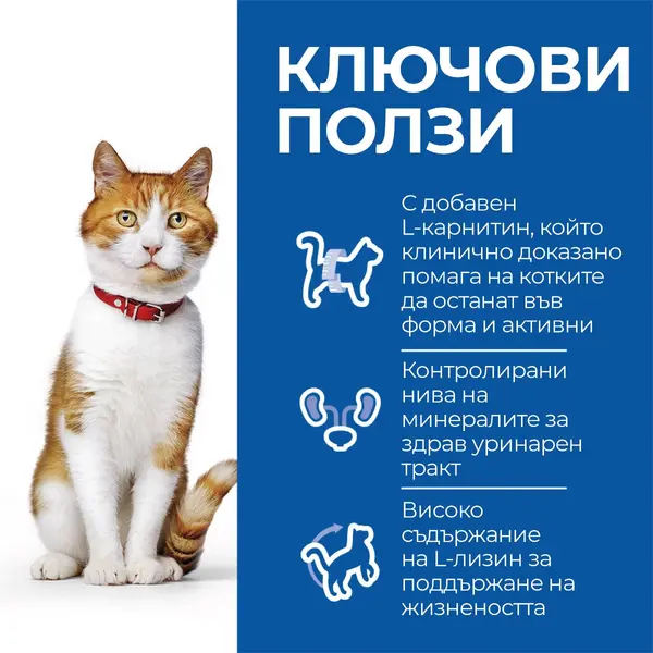 Hill's Science Plan Feline Adult Sterilised Salmon - Пълноценна суха храна за израснали кастрирани котки от 1 до 6 години, със сьомга, 300 гр