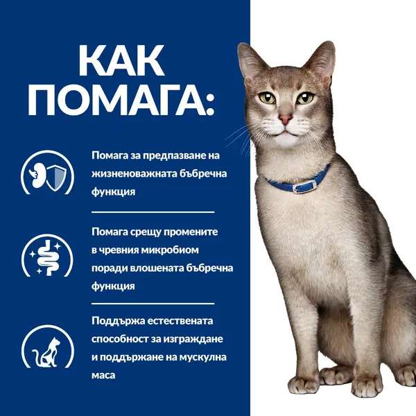 Hill's PRESCRIPTION DIET k/d Feline Kidney Care Chicken & Vegetable Stew - лечебна мокра храна за котки в зряла възраст с бъбречна недостатъчност, консерва задушено с пилешко и зеленчуци - 82 г