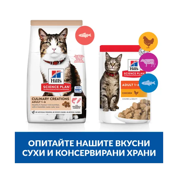 Hill's Science Plan Culinary Creations Cat Adult Salmon & Carrots -  Пълноценна суха храна за котки от 1 до 6 години със сьомга и моркови - 10 кг