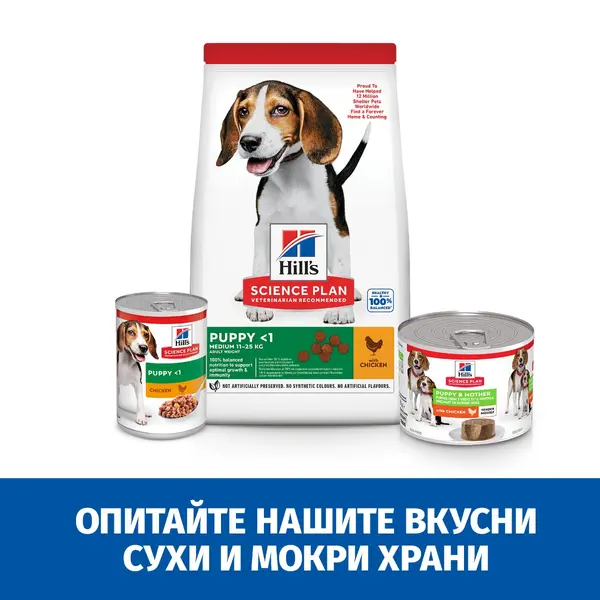 Hill's Science Plan Puppy & Mother Mousse Chicken - Пълноценна мокра храна за кученца до 1 година, бременни или кърмещи кучета, фин мус с пилешко, консерва 200 гр