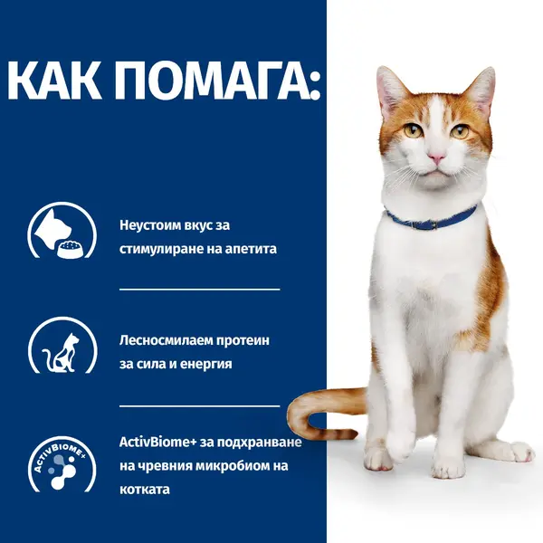 Hill's PRESCRIPTION DIET FELINE ON-CARE – лечебна суха храна за котки, страдащи от тежки заболявания, с пилешко 1,5 кг