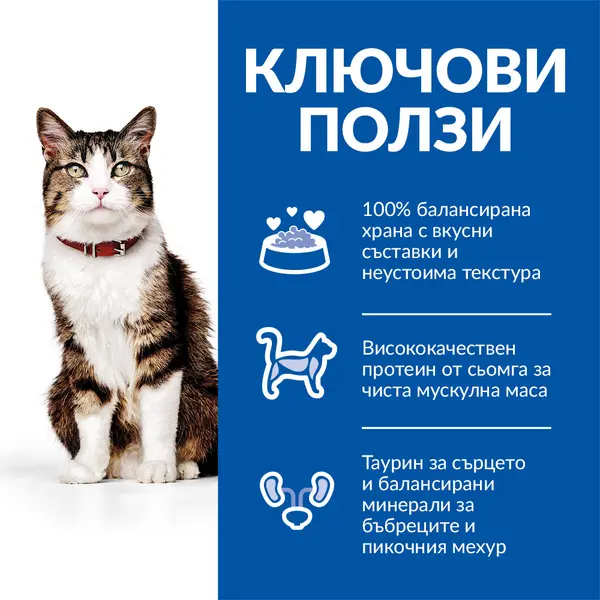 Hill's Science Plan Culinary Creations Cat Adult Salmon & Carrots -  Пълноценна суха храна за котки от 1 до 6 години със сьомга и моркови - 10 кг