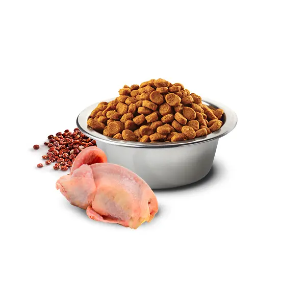 N&D Quinoa Skin & Coat with Quail for adult MINI dog – суха храна без зърнени култури за здрава кожа и козина, за кучета над 1 година от дребни породи, с пъдпъдък, киноа, кокос, и куркума  - 800 гр