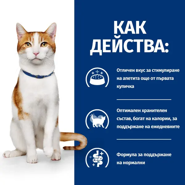 Hill's PRESCRIPTION DIET FELINE ON-CARE – лечебна суха храна за котки, страдащи от тежки заболявания, с пилешко 1,5 кг