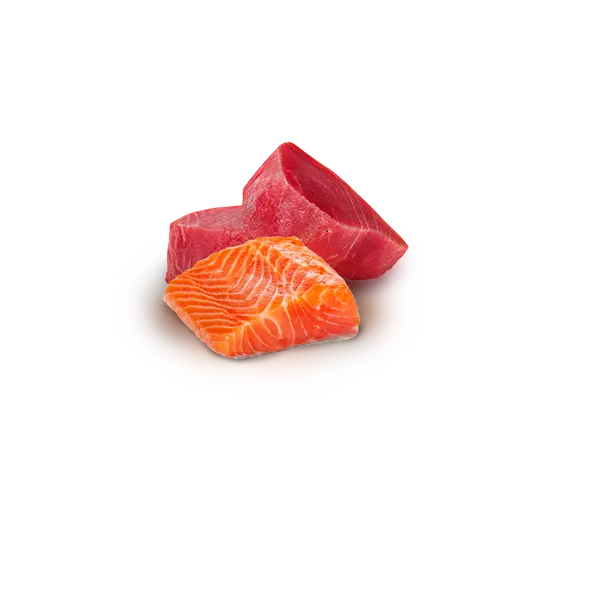 N&D Natural FISH TRIO MENU 5+1 free – мокра допълваща храна за котки в зряла възраст, три вкуса - с риба тон, с риба тон и сьомга, с риба тон и скариди, консерва - 6х70 гр, 5+1 ПОДАРЪК