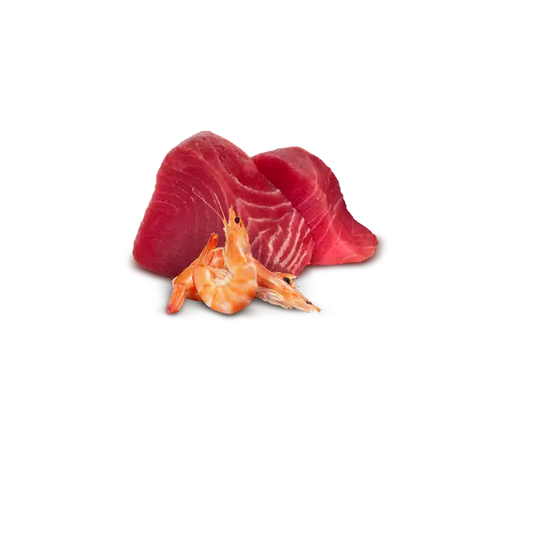 N&D Natural FISH TRIO MENU 5+1 free – мокра допълваща храна за котки в зряла възраст, три вкуса - с риба тон, с риба тон и сьомга, с риба тон и скариди, консерва - 6х70 гр, 5+1 ПОДАРЪК