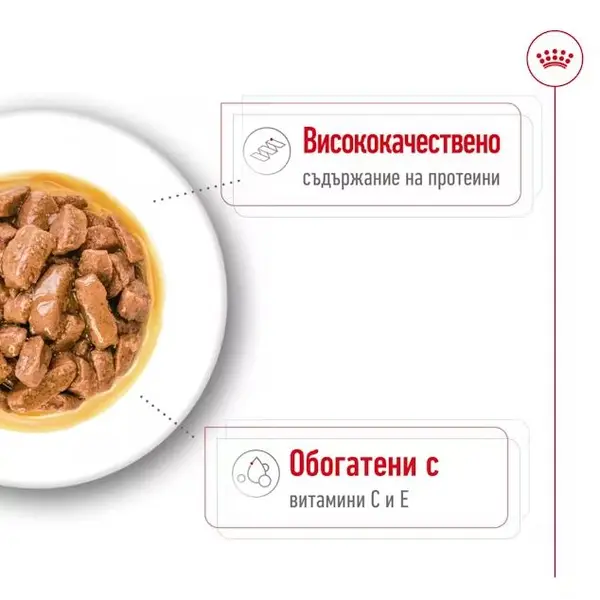 Royal Canin Medium Adult Pouch - Пълноценна мокра храна в пауч за кучета в зряла възраст от средни породи над 12 месеца - 10 х140 г - СРОК 08.2026