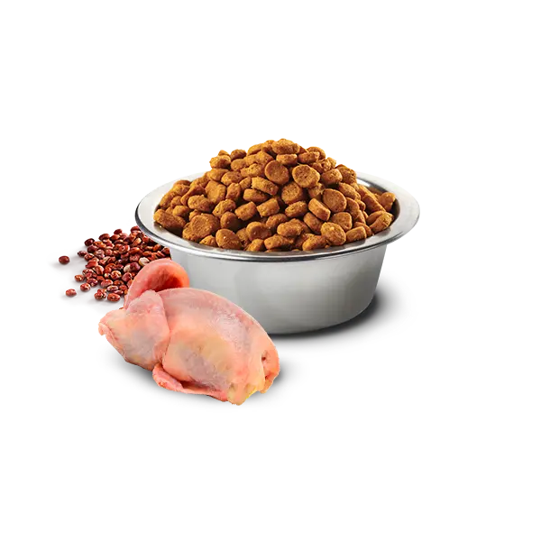 N&D Quinoa Skin & Coat with Quail for adult MEDIUM & MAXI dog – суха храна без зърнени култури за здрава кожа и козина, за кучета над 1 година, с пъдпъдък - 2,5 kg