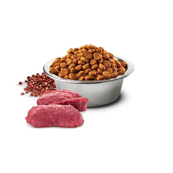 N&D Quinoa Skin & Coat with Venison for adult MEDIUM & MAXI dog – суха храна без зърнени култури за здрава кожа и козина, за кучета над 1 година от средни и едри породи, с еленско, киноа, кокос и куркума  - 2,5 кг