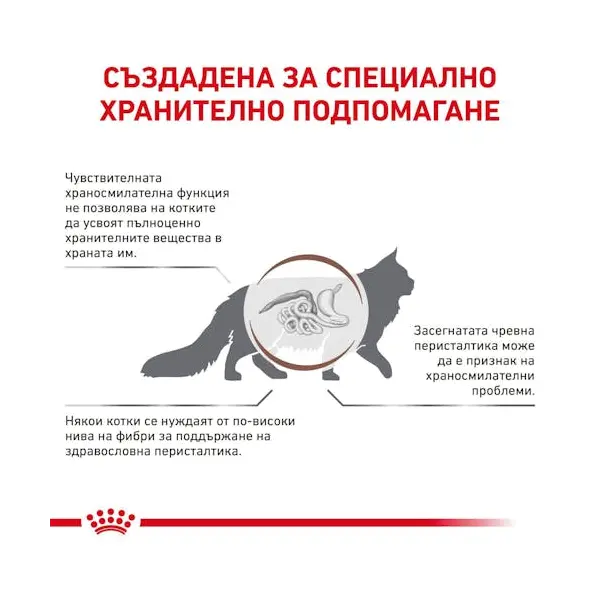Royal Canin Feline Gastrointestinal Fiber Response - Пълноценна мокра храна за котки, формулирана за компенсиране на лошото храносмилане, пауч хапки в сос - 12x85 гр