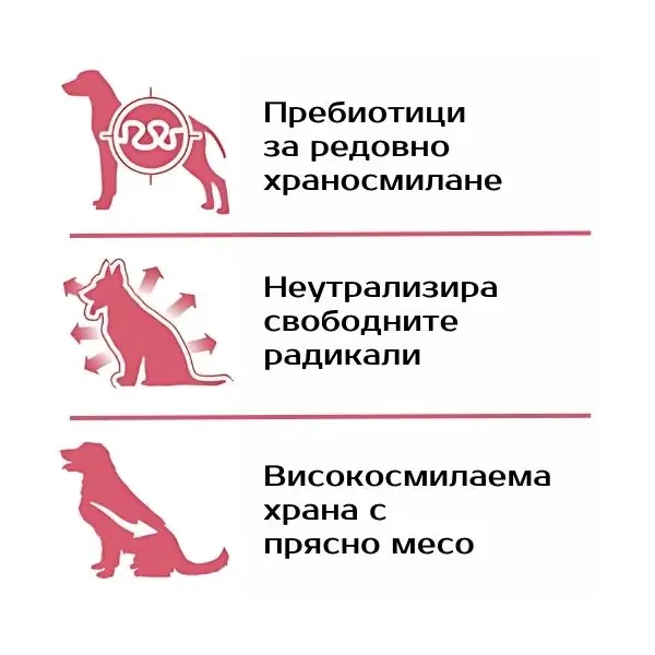Monge  All breeds Adult Monoprotein Beef with Rice - Пълноценна суха храна за кучета в зряла възраст от всички породи с телешко и ориз - 12 кг