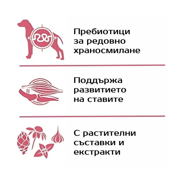Monge All breeds Puppy and Junior Monoprotein Beef with Rice - Пълноценна суха храна за подрастващи кученца от всички породи с телешко и ориз - 12 кг