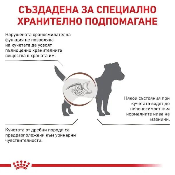 Royal Canin Gastrointestinal Low Fat Small Dog - храна за кучета от малки породи с ниско съдържание на мазнини и подпомагаща храносмилането - 1,5 кг