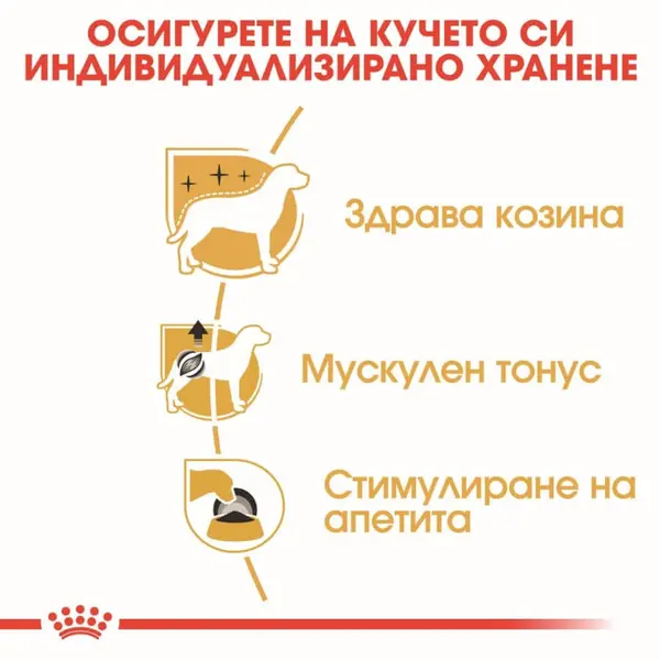 Royal Canin Poodle Pouch - пауч за кучета над 10 месеца от порода пудел 12х85гр