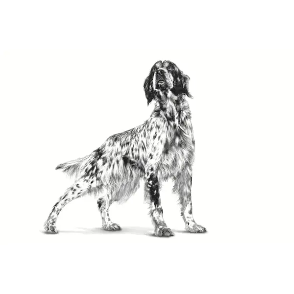 Royal Canin Gastrointestinal High Fiber Loaf Dog - лечебна мокра храна за кучета при храносмилателни проблеми, консерва 410 г