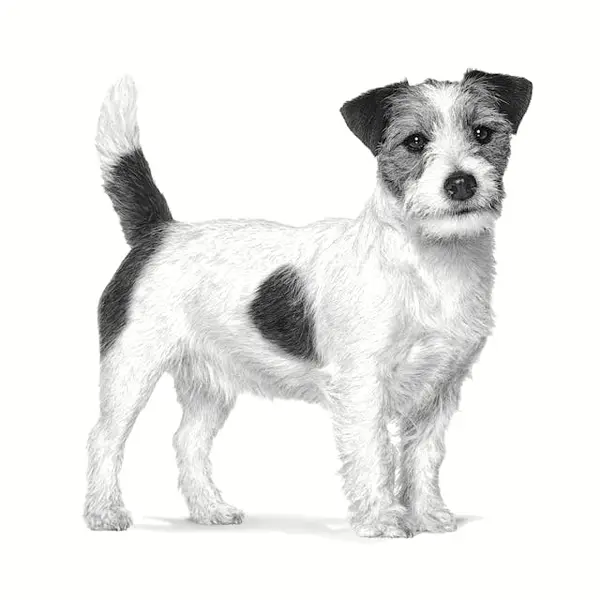 Royal Canin Gastrointestinal Low Fat Small Dog - храна за кучета от малки породи с ниско съдържание на мазнини и подпомагаща храносмилането - 1,5 кг