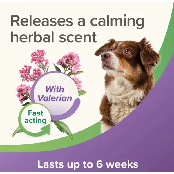 Beaphar Calming Spot On успокояващи пипети за куче, 3 бр