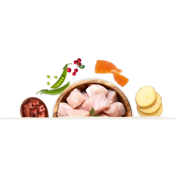 Chicopee Храна за котка  Holistic Nature Line No Grain за чувствителни и над 7 години, 1.5 кг