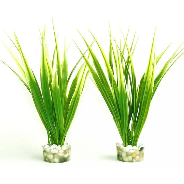 Sydeco Изк.растение Oasis Baby 16см - 380061