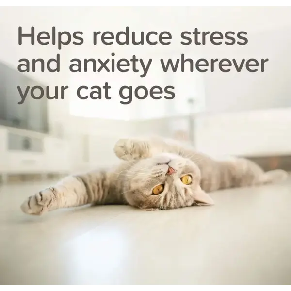 Beaphar StressLess Herbal Calming Spot-On успокояващи пипети за котки, 3 бр
