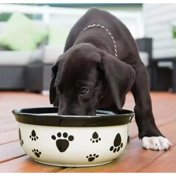 Vet's Best Breath Freshener - Вода за уста за кучета, за свеж дъх с мента и карамфил - 500 мл