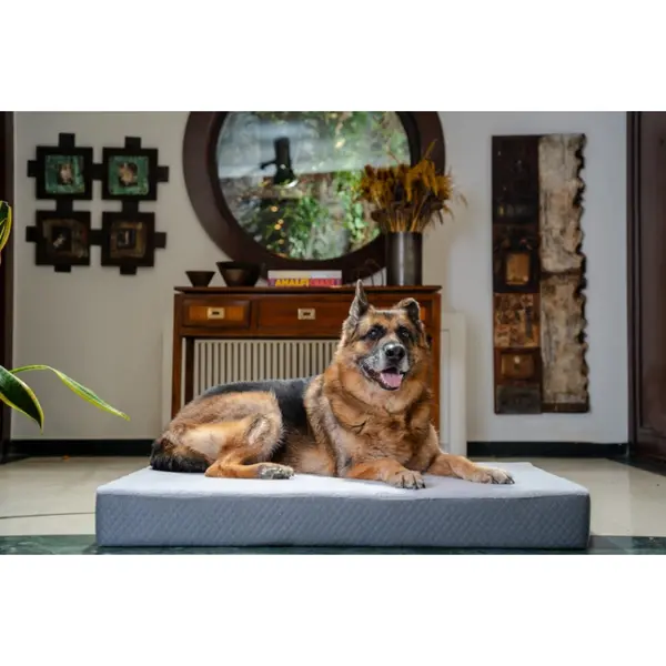 Pet Comfort ортопедичен матрак за кучета и котки, сив, М, 75х50х4 см