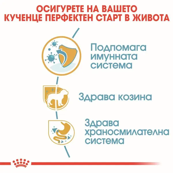 Royal Canin Poodle Puppy - пълноценна суха храна за подрастващи кучета от порода пудел - 500 г