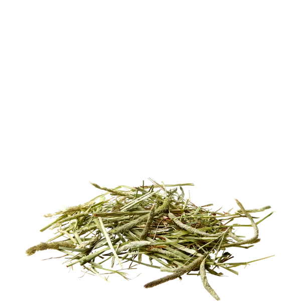 Versele Laga Timothy Hay - чисто, блестящо зелено сено Тимоти - 1 kg