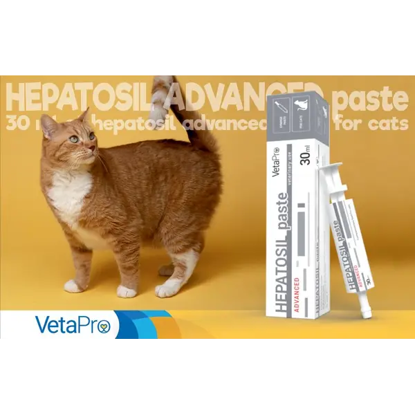 VetaPro Hepatosil Advanced Paste - подпомага функцията на черния дроб, за котки - шприц х 30 мл