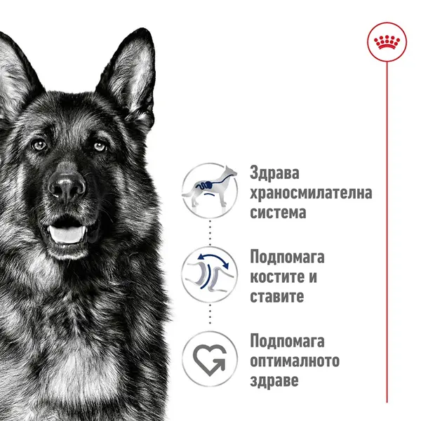 Royal Canin Maxi Adult - суха храна за големи кучета