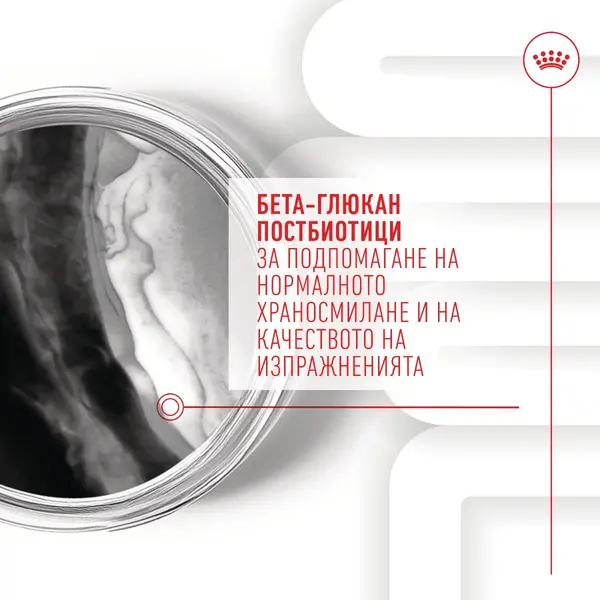 Royal Canin Immunity & Digestion Puppy Supplement - Хранителна добавка за имунитет и добро храносмилане за кученца - 100 г