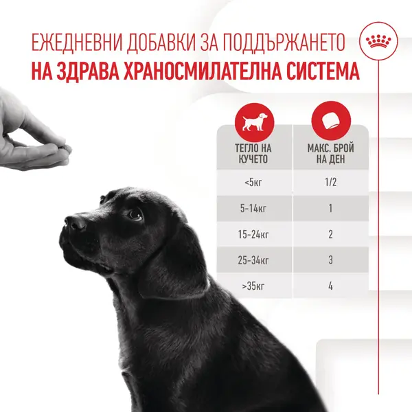 Royal Canin Immunity & Digestion Puppy Supplement - Хранителна добавка за имунитет и добро храносмилане за кученца - 100 г