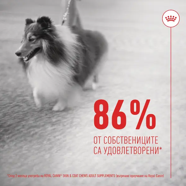 Royal Canin® Skin & Coat Adult Supplement - Хранителна добавка за кожа и козина за кучета - 240 г