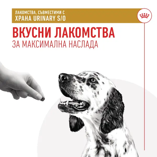 Royal Canin Urinary Dog Treat - лакомство за куче, подпомагащо уринарния тракт - 230 г
