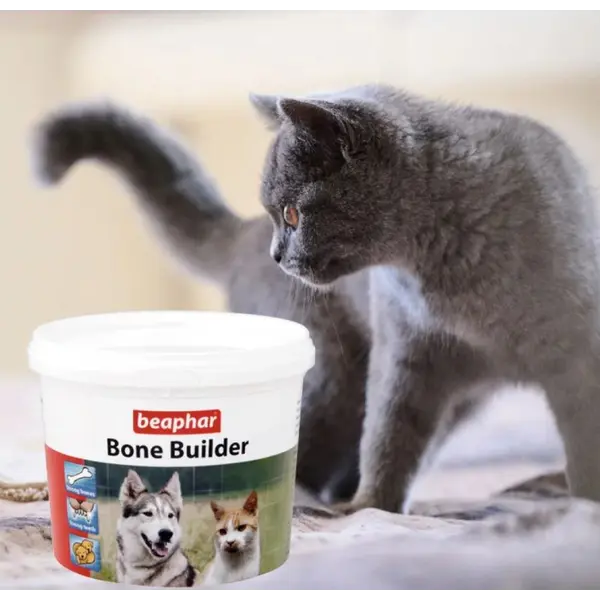 Beaphar Bone Builder Dog & Cat – хранителна добавка за кучета и котки, с калций и фосфор, 500 г