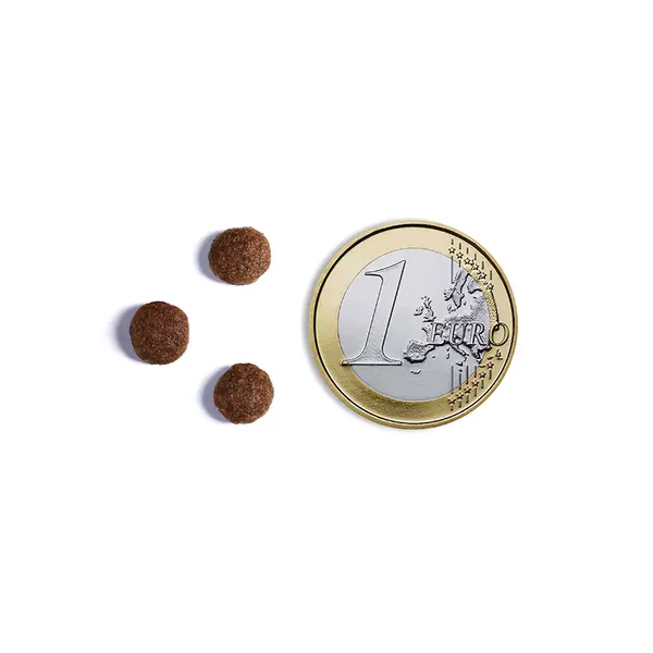 Ambrosia Sterilized Cat Fresh Salmon & Chicken Ulta premium - холистична, хипоалергенна, беззърнена храна за кастрирани котки със сьомга и пилешко, 1,5 кг