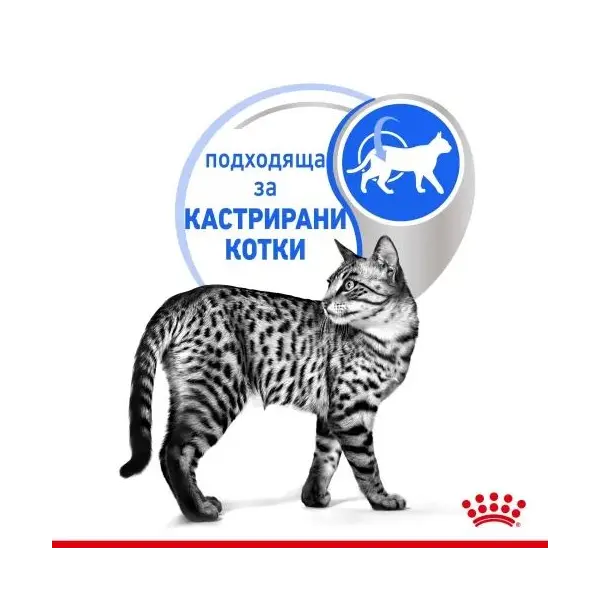 Royal Canin Indoor Sterilised Gravy - Пълноценна мокра храна за кастрирани котки, живеещи на закрито - парченца в сос в пауч 12х85 г