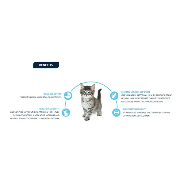 Advance Kitten -  Суха храна за подрастващи котенца с пилешко и ориз - 1,5 кг