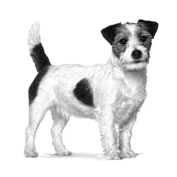 Royal Canin VHN Anallergenic Small Dog - Ддиетична храна за кучета от дребни породи за намаляване на непоносимостта към някои съставки и хранителни елементи - 1,5 кг