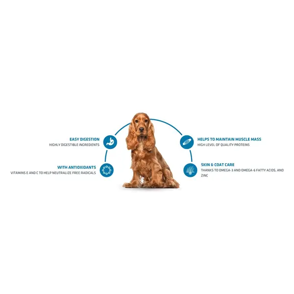Advance Dog Medium Adult - суха храна за кучета от средни породи с пилешко и ориз - 3 кг