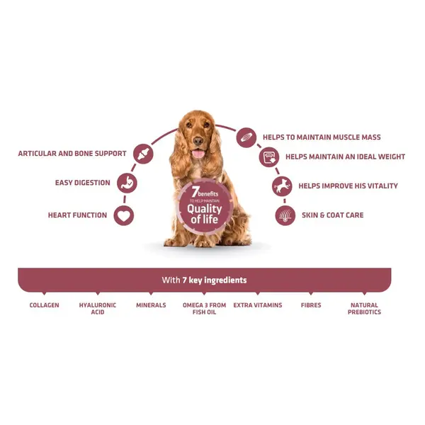 Advance Dog Vitality Senior Medium +7 - суха храна за средни породи кучета на възраст над 7 години с пилешко и ориз - 12 кг
