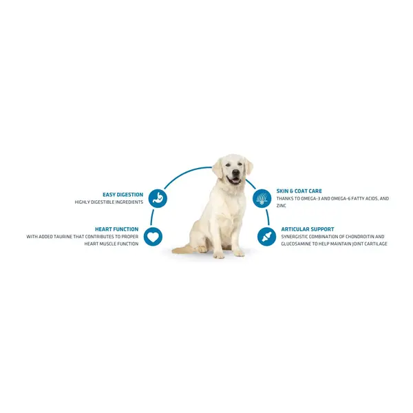Advance Dog Maxi Adult -  суха храна за кучета от едри породи с пилешко и ориз - 14 кг